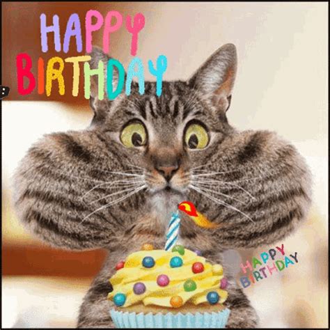 happy birthdaygif|Happy Birthdaygif gifs